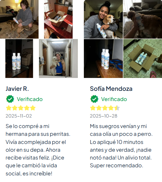 BAÑO EN SECO PARA PERROS🐶