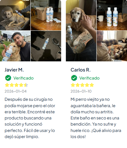 BAÑO EN SECO PARA PERROS🐶